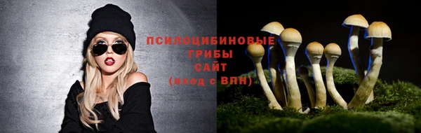 кристаллы Вяземский
