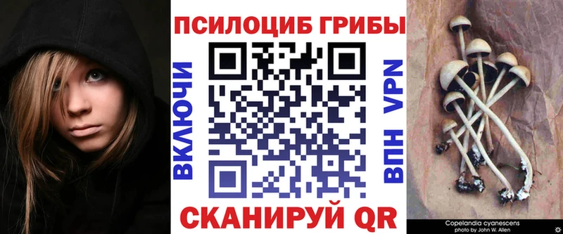 дарк нет как зайти  где купить наркотик  ссылка на мегу зеркало  Кисловодск  Псилоцибиновые грибы ЛСД 